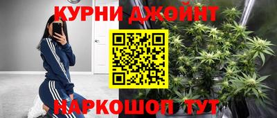 сатива Жуковский