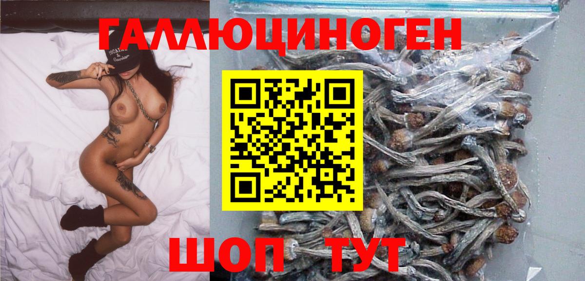 Людиново  Галлюциногенные грибы Magic Shrooms  Вход с VPN 